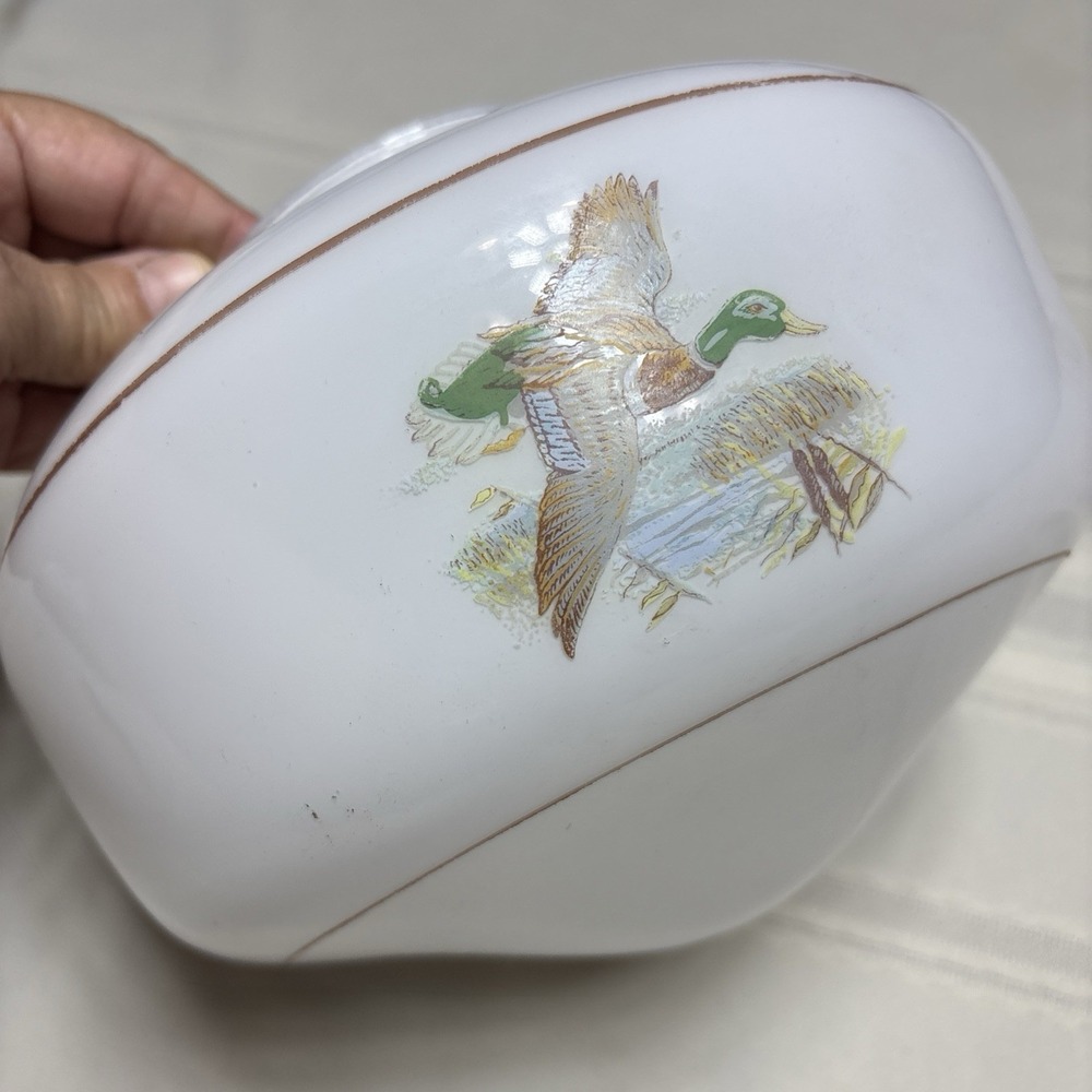 A9213 Wildlife Duck White Ceilign Glass Lamp Shade 4" Fitter